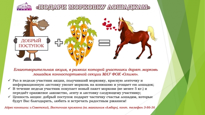Благотворительная акция «Подари морковку лошадкам»